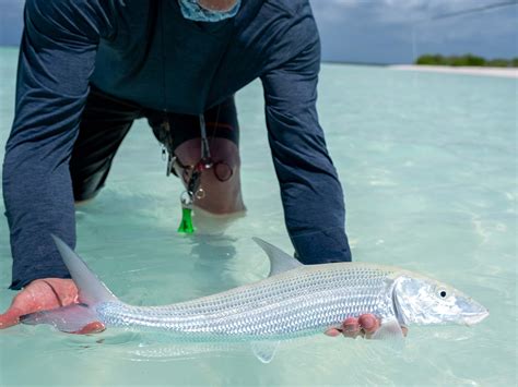 Christmas Island Fly Fishing Telluride Angler Travel