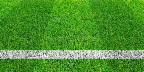 Grass Soccer Field Wallpaper