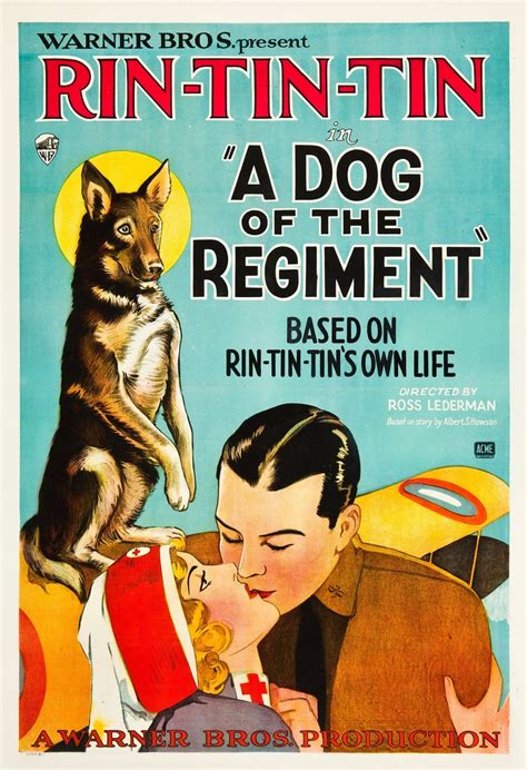 Rin-Tin-Tin Free Stock Photo - Public Domain Pictures