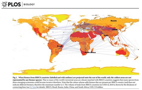 BRICS countries call for invasion networks