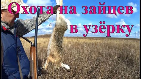 Охота на зайцев в узёрку - YouTube