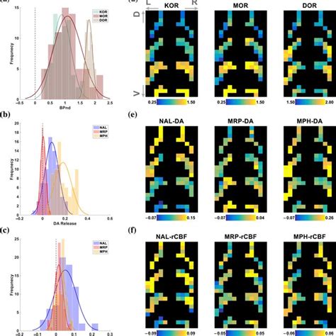 Mu Mor Kappa Kor And Delta Dor Opioid Receptor Availability In