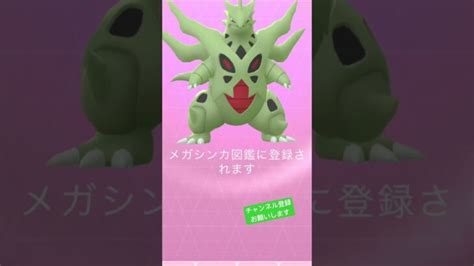 ラストボール、ドキドキ😭 ポケモンgo ポケgo ポケモン Pokemongo Pokemon Pokémon バンギラス