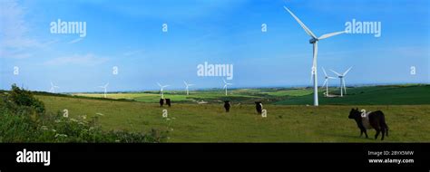 Windpark Rinder Fotos Und Bildmaterial In Hoher Aufl Sung Alamy