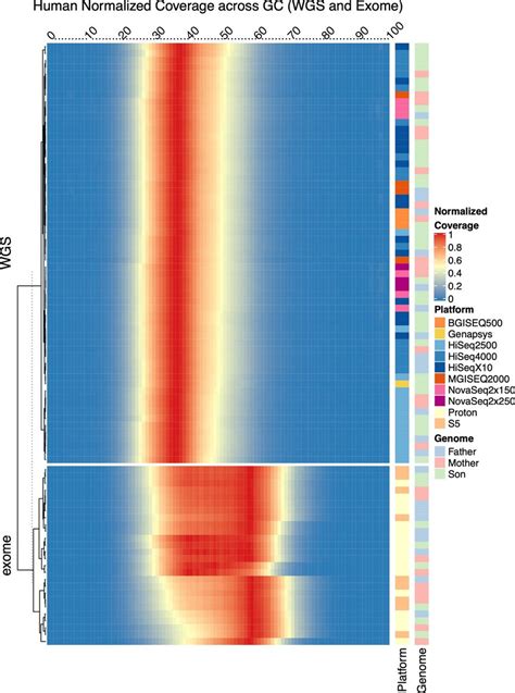 Normalized Genomic Coverage Heatmap Showing The Distribution Of Read