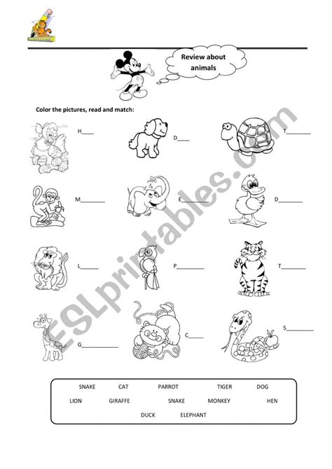 Animals Esl Worksheet By Edgar06