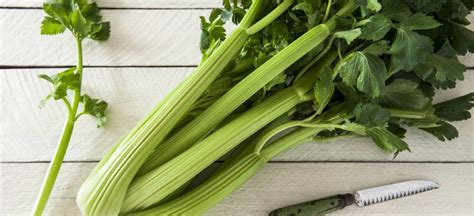 Benefits Of Celery Nutrition Facts Recipes And More Dr Axe