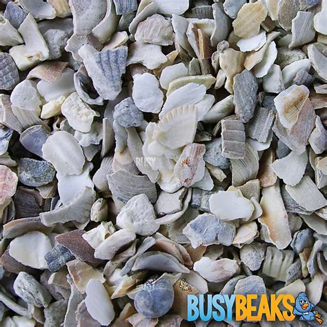 15kg Busybeaks Hen Sized Oyster Shell Premium Grade High In Calcium Poultry Grit Diy At Bandq