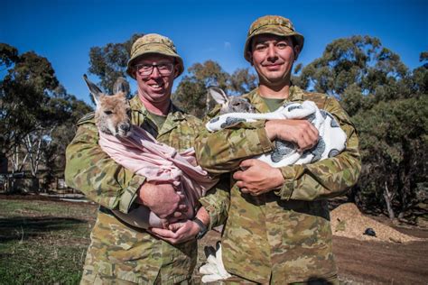 Kangaroo Sanctuary becomes a roo-ality