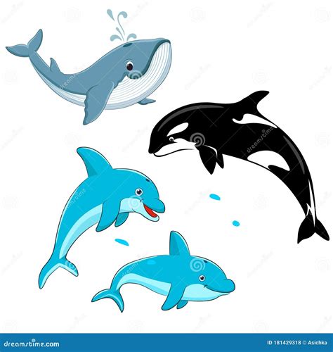 Set Of Vector Whales And Dolphins Vector Illustration Of Marine