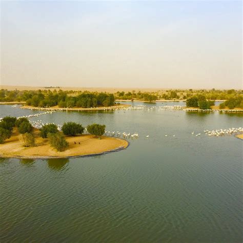 Al Qudra Lake Dubai 2023 Alles Wat U Moet Weten Voordat Je Gaat