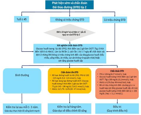 Phác đồ điều Trị Hướng Dẫn Chẩn đoán Và điều Trị đái Tháo đường Típ 2