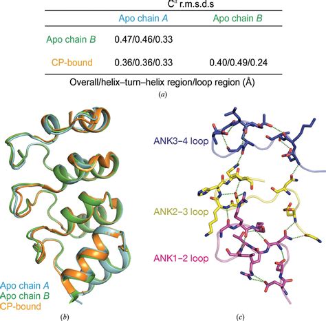 Iucr Crystal Structure Of Human V 1 In The Apo Form