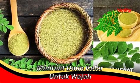 Temukan Manfaat Daun Kelor Untuk Wajah Yang Jarang Diketahui Biotifor