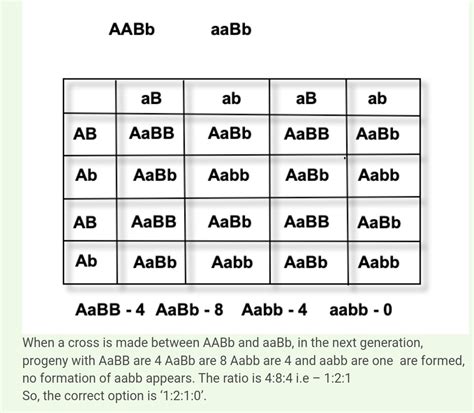 From a cross AABb X aaBb , the genotypes AaBB : AaBb Aabb : aabb will be obtained in the ...