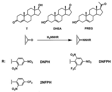 Derivatization Of Oxosteroids With Electron Capturing Hydrazine