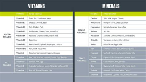 Micronutrients: An Important Aspect of Active Lifestyles - Bodylogix