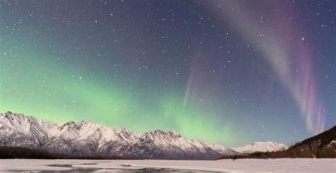 Anchorage Northern Lights Tour Getyourguide