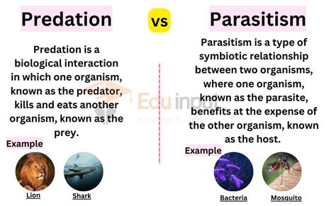 Difference Between Predation And Parasitism Definition,, 40% OFF