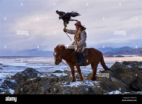 Mongolei, Bayan Ölgii, kasachische Adler Adler Jagd, Jäger, Steinadler Stockfotografie - Alamy