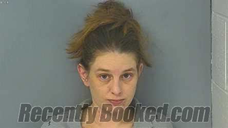 Recent Booking Mugshot For Brandy Michelle Dildy In Williamsburg