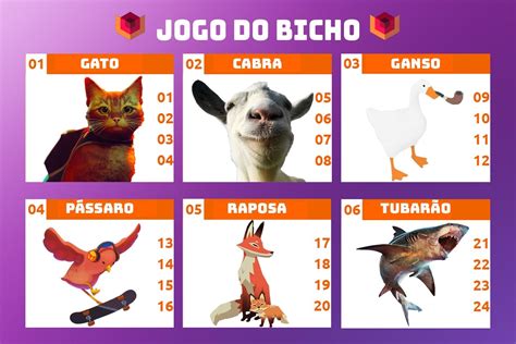 Como Funciona O Jogo Do Bicho Curiosidades Dicas Descubra A