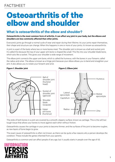 FACTSHEET Osteoarthritis Of The Elbow And Shoulder What Is