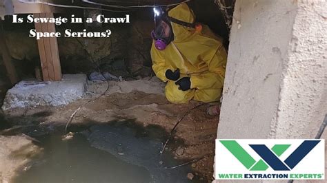 Is Sewage In A Crawl Space Serious Water Extraction Experts