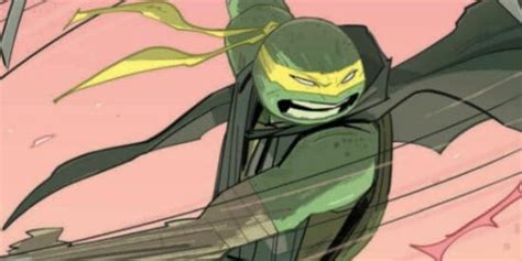 All 12 Teenage Mutant Ninja Turtles Explained Yes 12 Inside The Magic