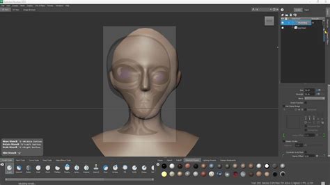 Mudbox Lesson Import Reference Images D Modeling Sculpting