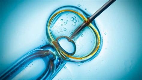 Intracytoplasmic Sperm Injection ICSI Benefits Cost Medmonks