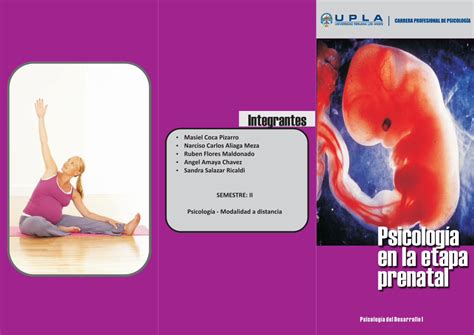 Pdf Triptico Psicologia En La Etapa Pre Natal Dokumentips