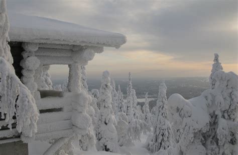 Финская природа | Финляндия: язык, культура, история