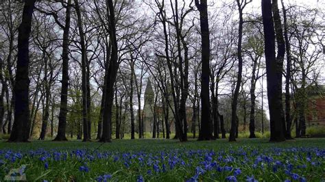 Stadtpark Braunschweig Bilder