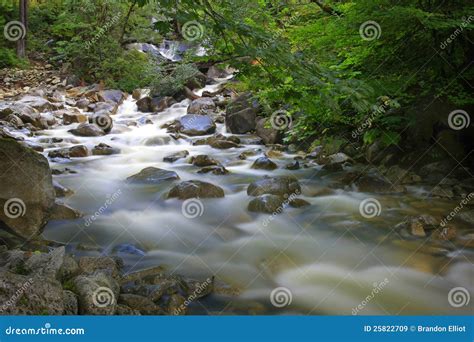 Rushing Water Over Rocks In A Creek Stock Image Image Of Water Trees