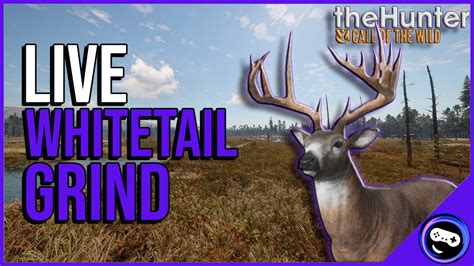 Grinding For A GREAT ONE WHITETAIL On Revontuli Coast TheHunter Call Of