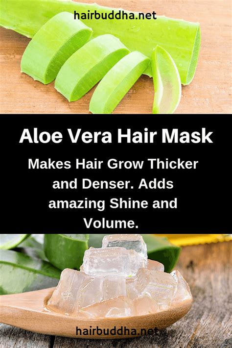 Aloe Vera Hair Mask For Thick Dense Hair Growth Hair Buddha