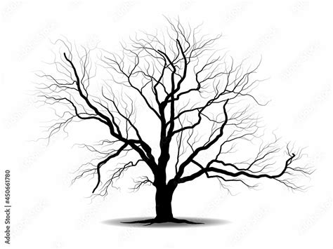 Black Branch Tree Or Naked Trees Silhouettes Hand Drawn Isolated Illustrations Stock Vector
