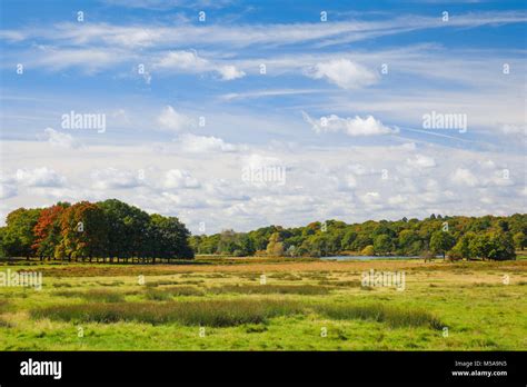 Richmond Park, England Stock Photo - Alamy