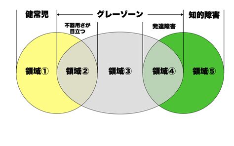 子どもの発達には「グレーゾーン」という発達障害のエリアがある。子ども運動教室が詳しく解説 Conditioning Labo Animom