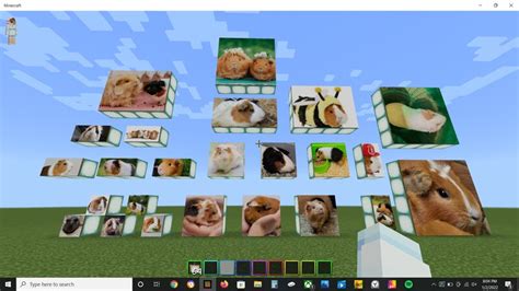 Guinea Pigs Pics Minecraft Texture Pack