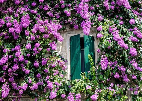 Visit Sirmione On A Trip To The Italian Lakes Audley Travel Us