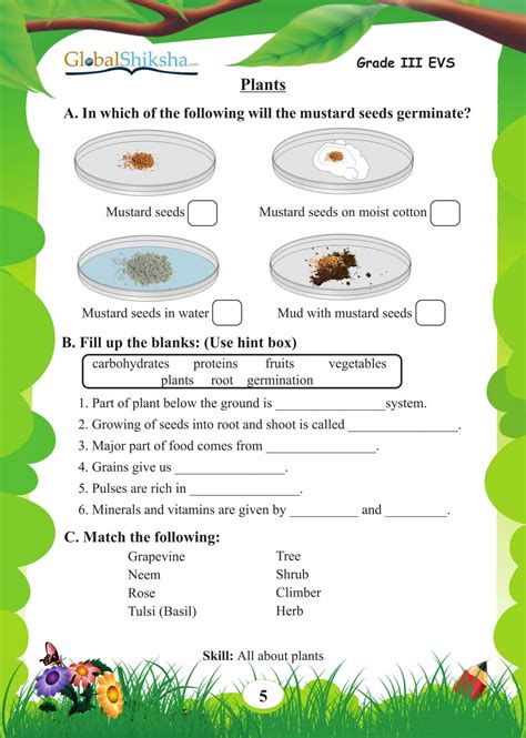 Science Worksheet For Grade 3 Martin Lindelof