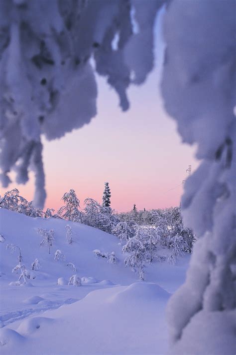 Vinter Natur Snö Gratis foto på Pixabay