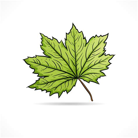 Premium Vector | Leaf vector leaf logo design