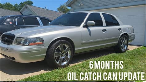 Oil Catch Can 6 Months Update Crown Victoria Town Car Grand Marquis