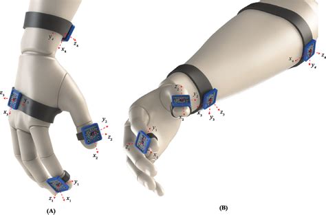 Graphical Representation Of The Selected Accelerometer Placement Points