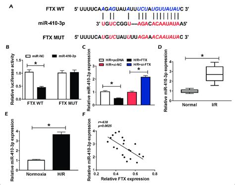 FTX Sponged MiR 410 3p To Alter The Expression Of MiR 410 3p In