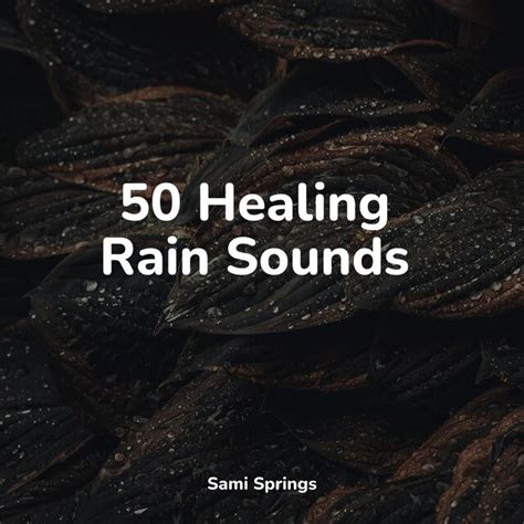 50 Healing Rain Sounds By Musica De Relajación Academy On Tidal