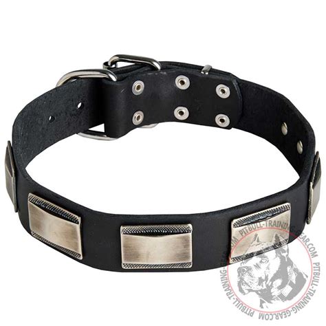 Buy Fashion Leather Pitbull Collar | Dog Training Equipment